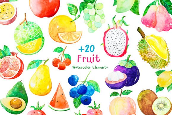 20 Elements Fruit Watercolor Clipart