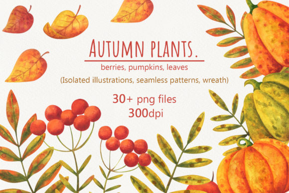 Autumn Plants. Watercolor Collection