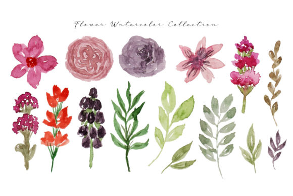 Beautiful Flower and Leaf Watercolor Illustrations
