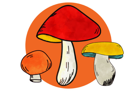 Cute Mushroom Watercolor Clipart and Illustrations