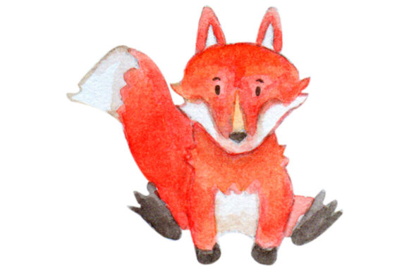 Fox Animal Watercolor Woodland Clipart & Illustrations