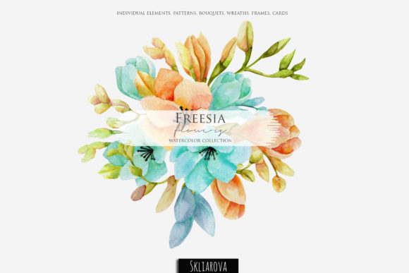 Freesia Flowers Watercolor Set and Illustrations