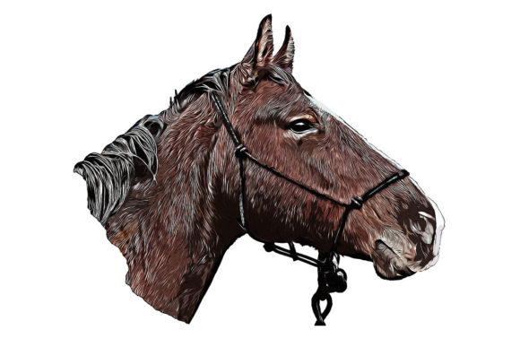 Horse Portrait in Digital Watercolor and Illustrations
