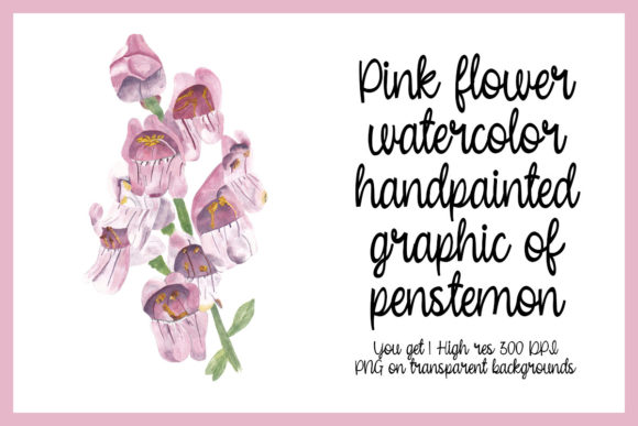 Pink Flower Watercolor Floral Botanical Illustrations