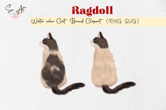 Ragdoll Cat Breed Watercolor Illustrations