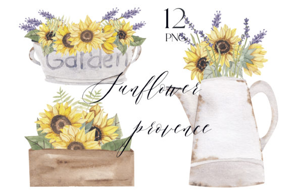 Sunflower Vintage Png Watercolor Illustrations