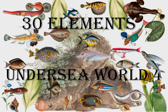 Undersea World Fish Watercolor PNG and Illustrations