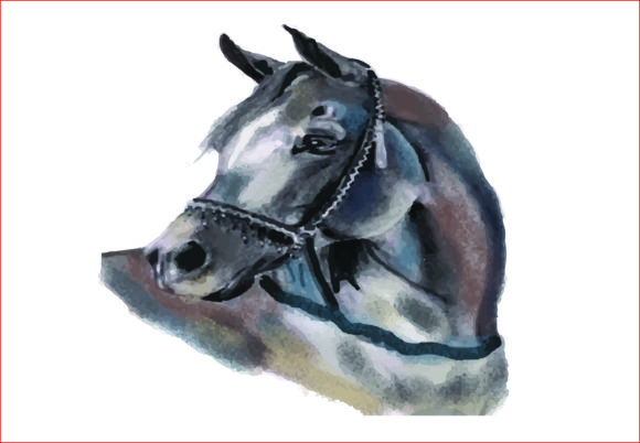 Watercolor Arabian Horse PNG, Illustrations