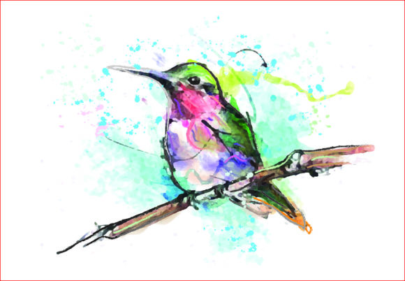 Watercolor Bird Png, Sublimation Graphics