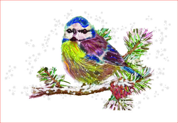 Watercolor Bird PNG, Winter Clipart Illustrations