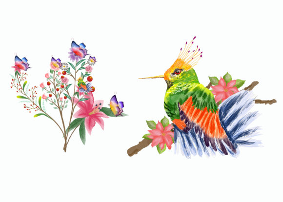 Watercolor Birds and Butterfly Clipart Illustrations