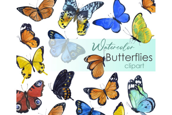 Watercolor Clipart Butterfly Clipart Png and Illustrations