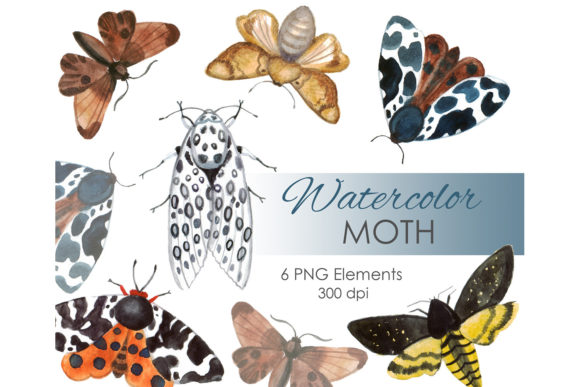 Watercolor Clipart. Moth Boho Butterfly Illustrations