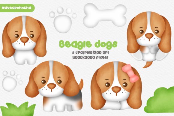 Watercolor Cute Beagle Dogs Png Clipart and Illustrations