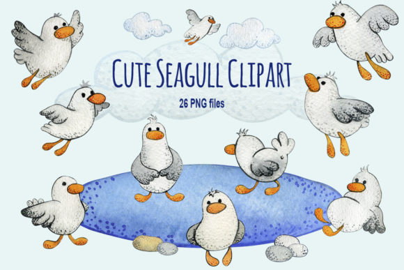 Watercolor Cute Seagull Clipart Png and Illustrations