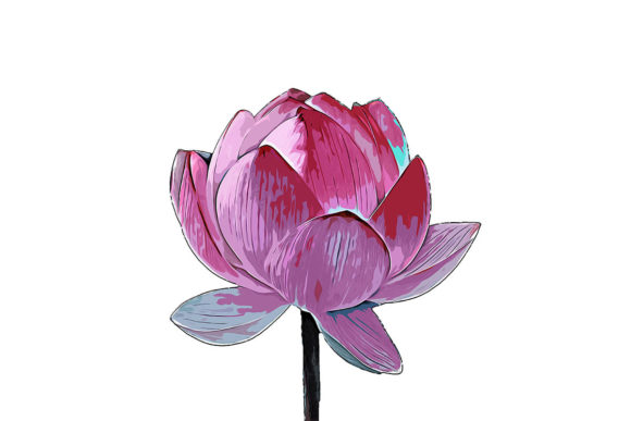 Watercolor Flower Poster and Illustrations