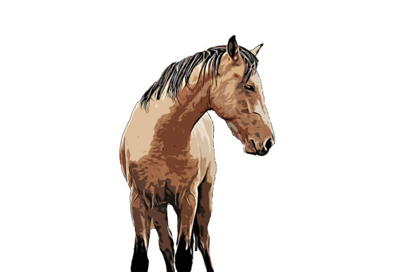 Watercolor Horse Drawing Illustrations