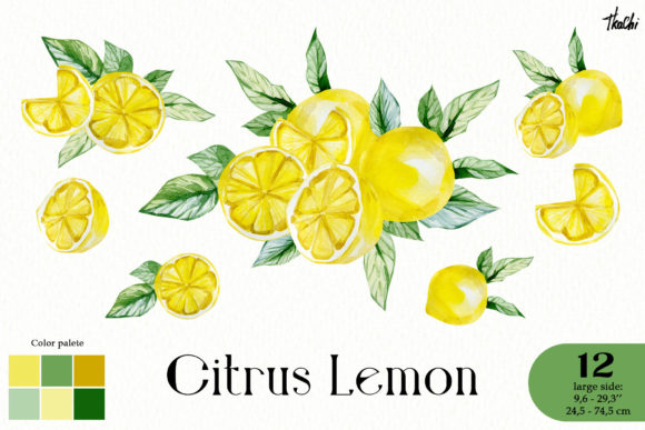 Watercolor Lemon Clipart. Fruit Png Illustrations