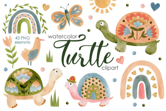 Watercolor Turtle and Rainbow Illustrations