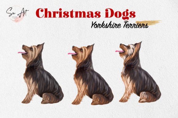 Watercolor Yorkshire Dog Breed Illustrations